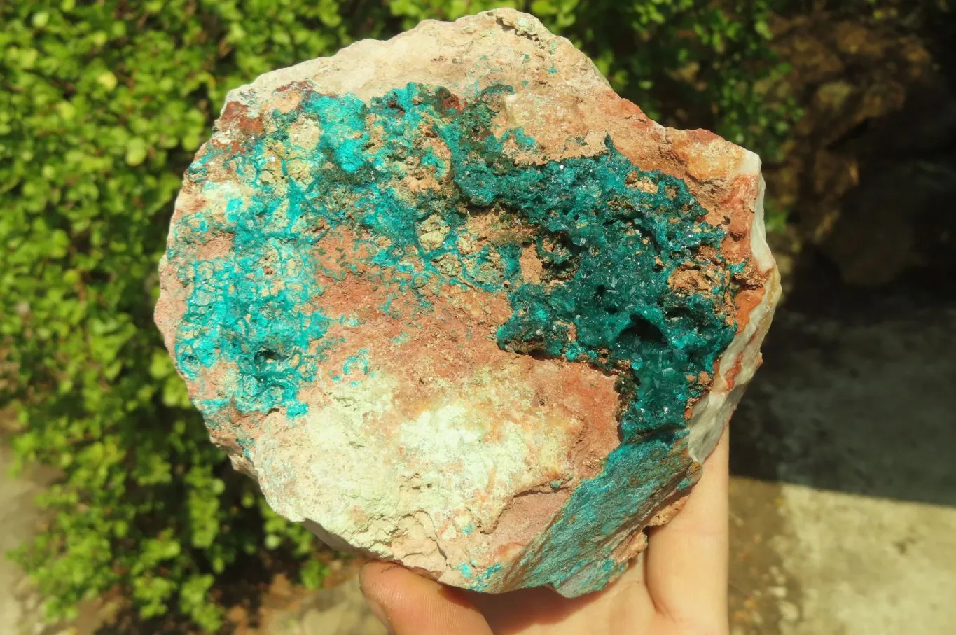 Natural Emerald Dioptase Specimen x 1 From Kaokoveld, Namibia