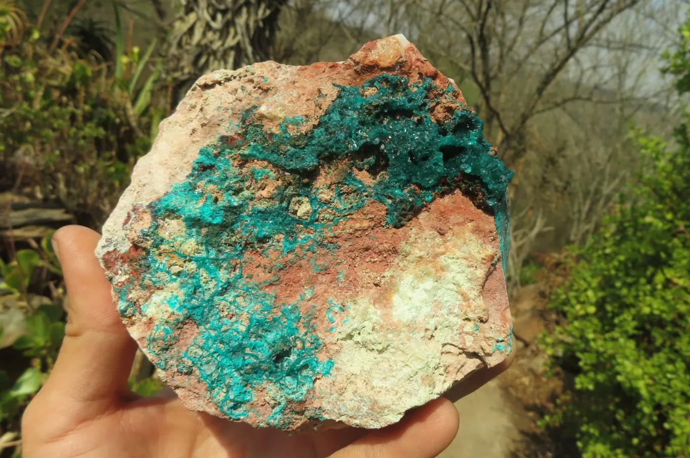 Natural Emerald Dioptase Specimen x 1 From Kaokoveld, Namibia