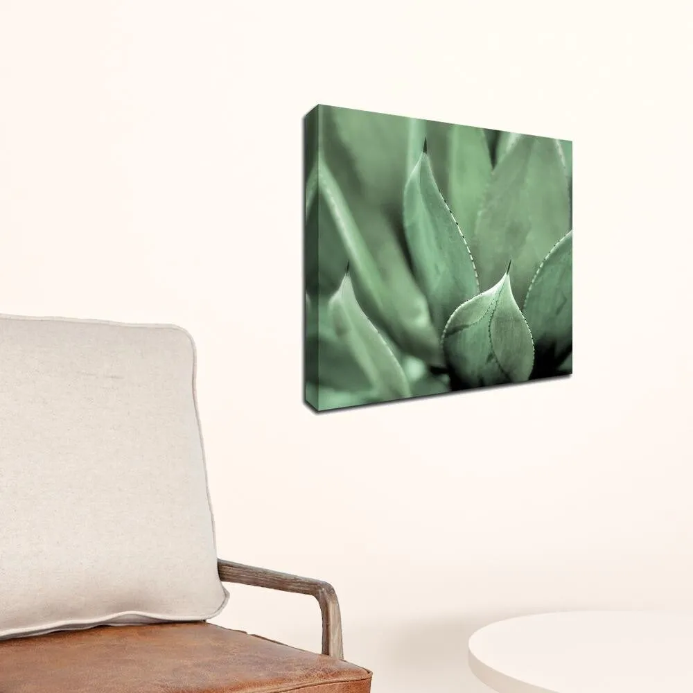 "Agave #4" Wrapped Canvas Print Wall Art