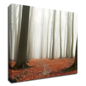 "Autumn Forest Floor" Wrapped Canvas Print Wall Art