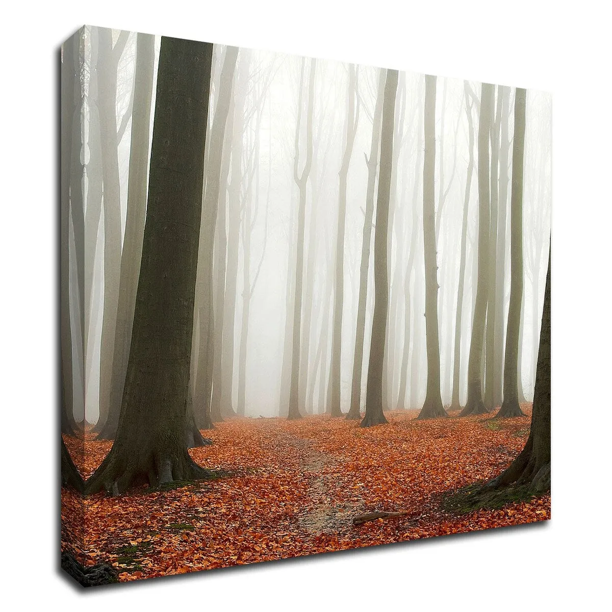 "Autumn Forest Floor" Wrapped Canvas Print Wall Art