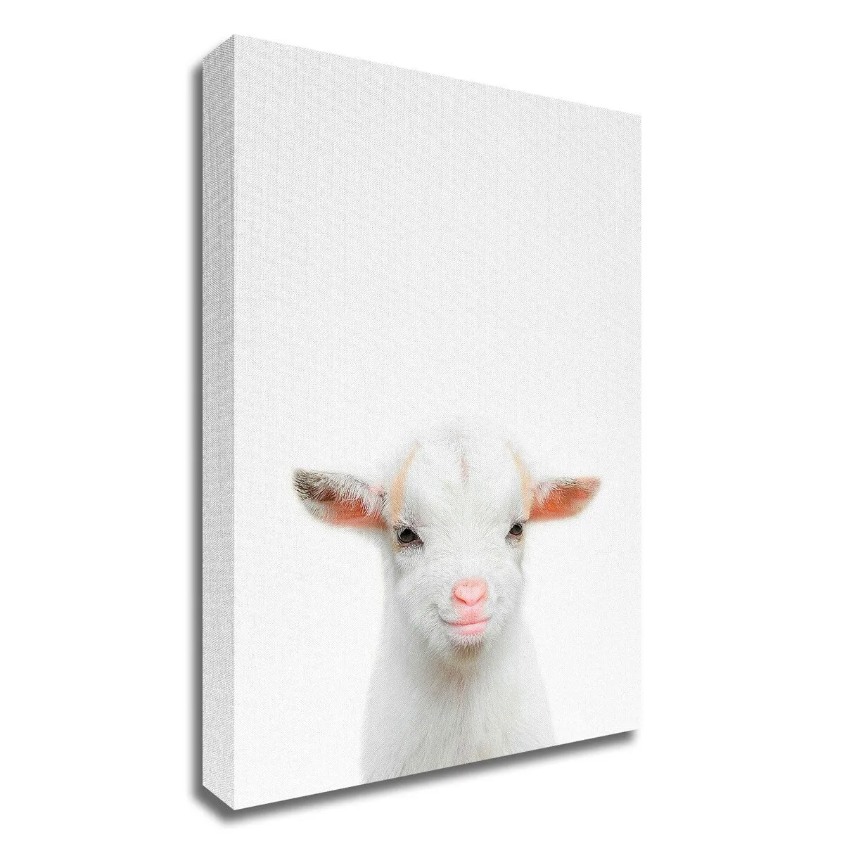 "Baby Goat" Wrapped Canvas Print Wall Art