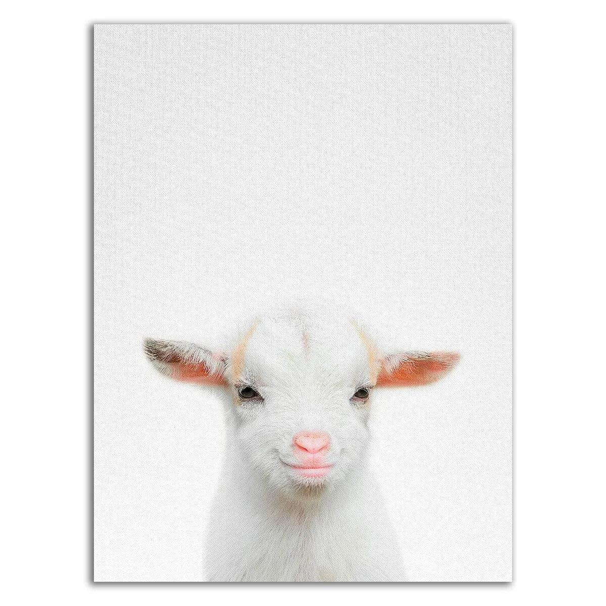 "Baby Goat" Wrapped Canvas Print Wall Art