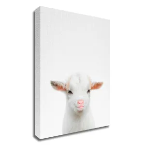 "Baby Goat" Wrapped Canvas Print Wall Art