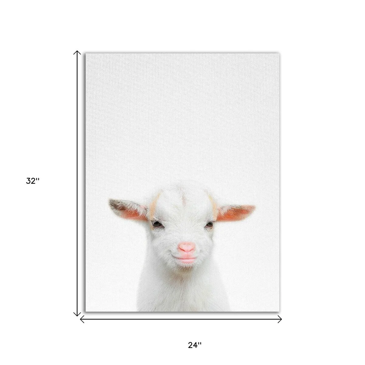 "Baby Goat" Wrapped Canvas Print Wall Art