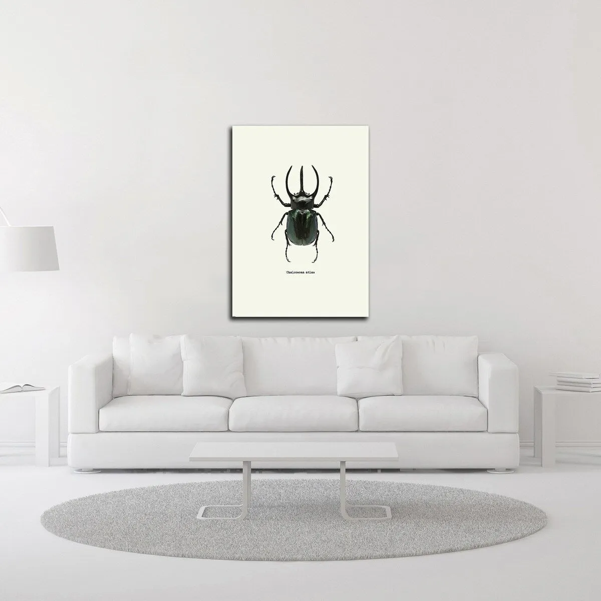 "Beetle Black" Wrapped Canvas Print Wall Art