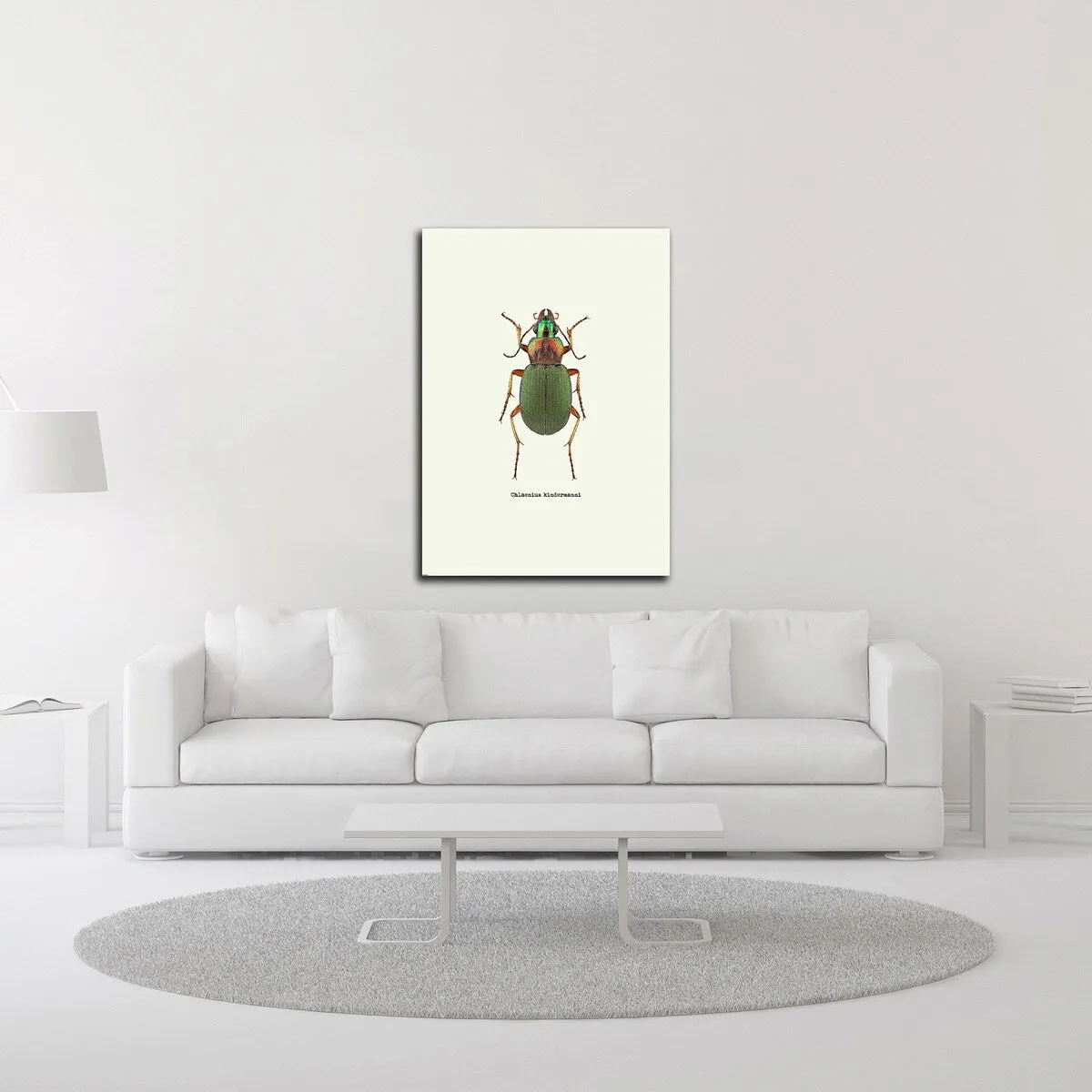 "Beetle Green" Wrapped Canvas Print Wall Art